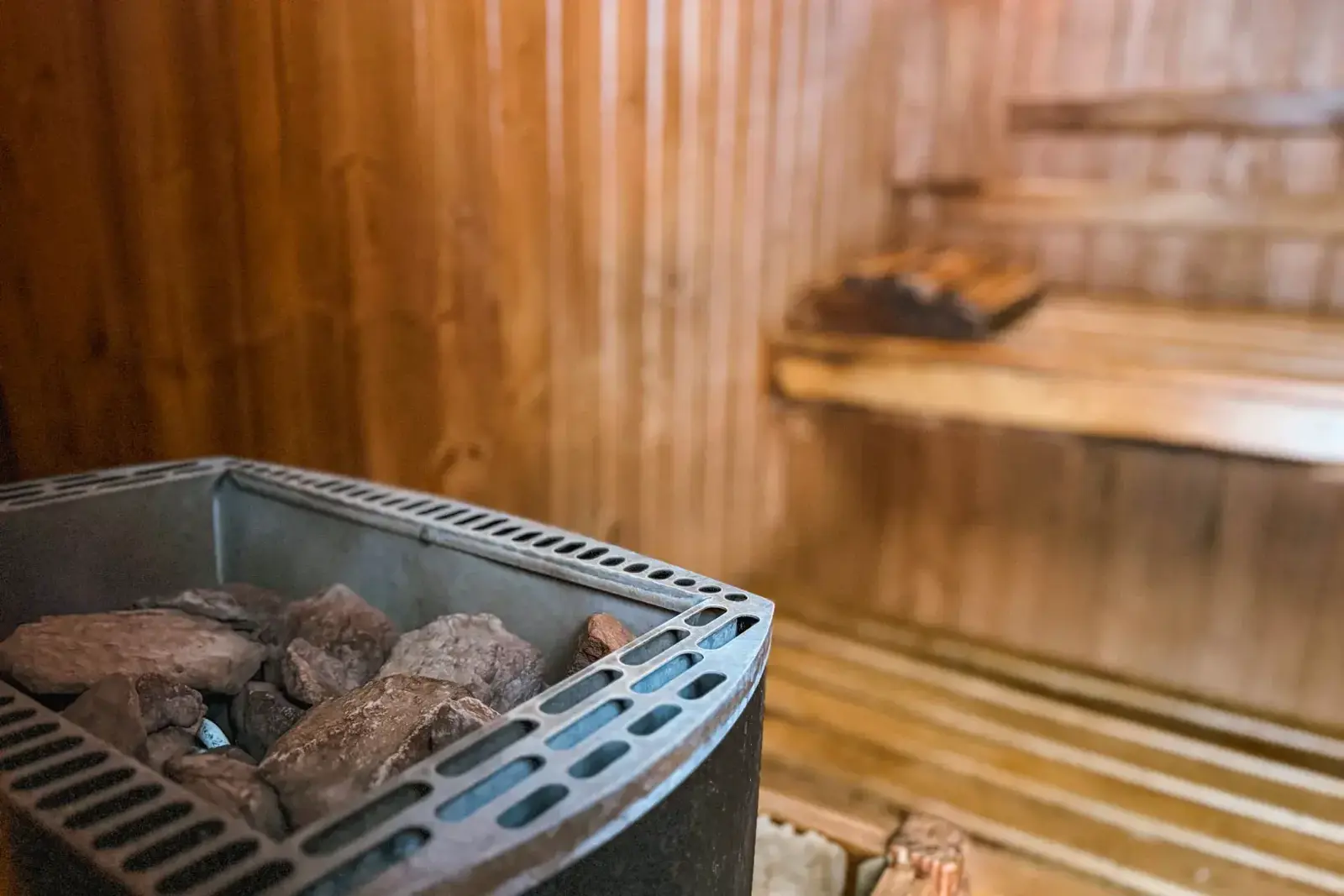 sauna.webp